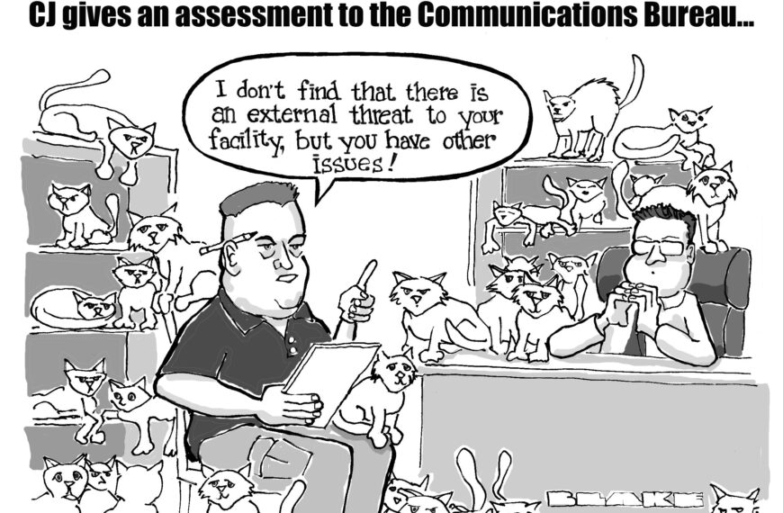 CJ: Feline Issues