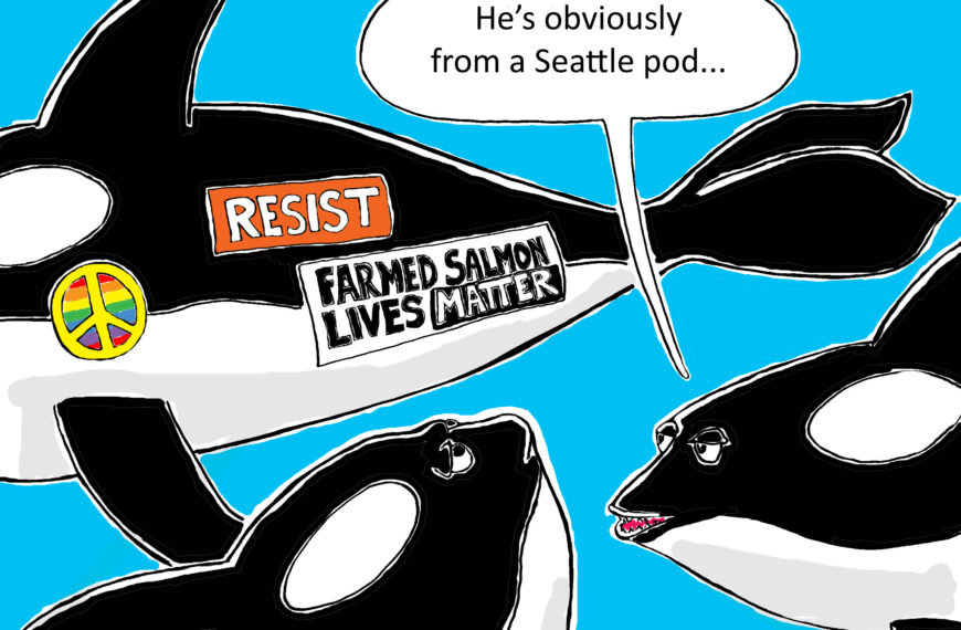 Political Orcas